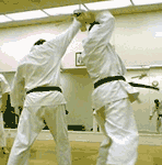 Lose weight with Karate, Coronado, Karate